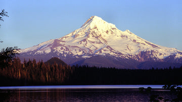 15 Best Places to Paddleboard in Oregon