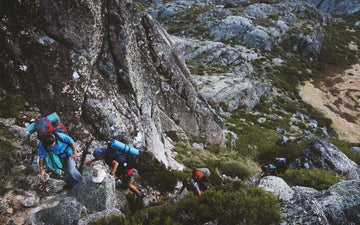 Scientists: Hiking is Good for Your Brain