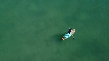 Looking Forward: Top Products of the Summer