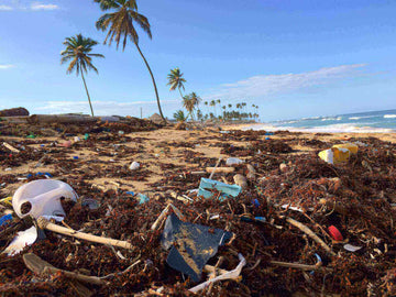 how to save the planet with sup dustan woodhouse