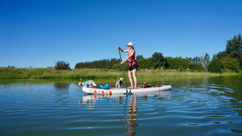 10 Things You Need to Know Before Buying a Paddle Board 