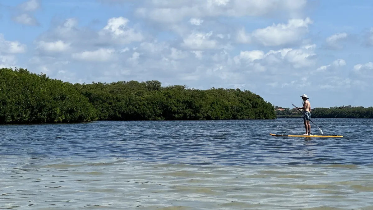 Paddleboarding to a Secret Beach in Florida