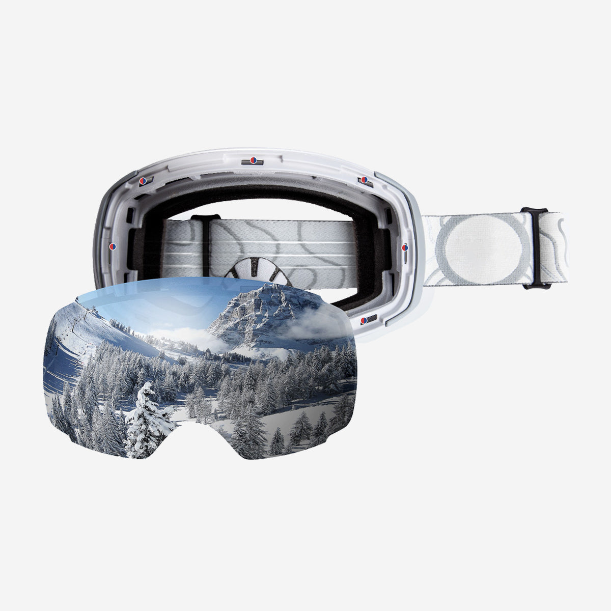 PRO Snow Goggles