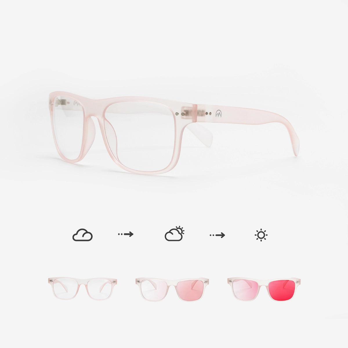 Raven Air Sport Sunglasses