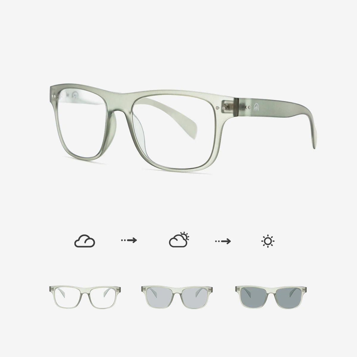 Raven Air Sport Sunglasses