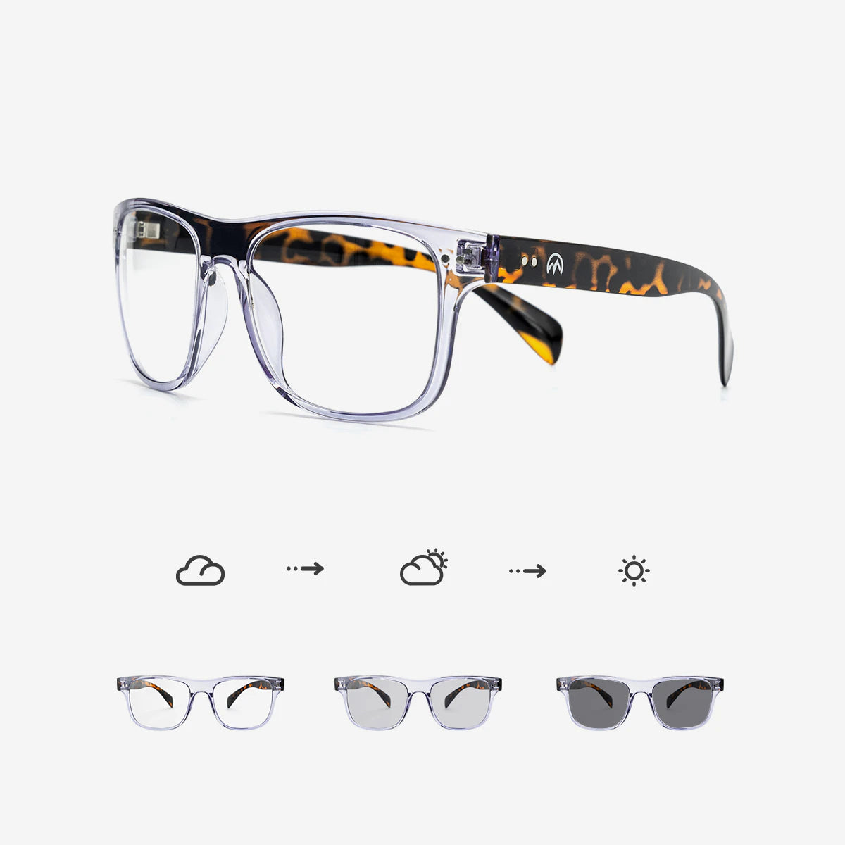 Raven Air Sport Sunglasses